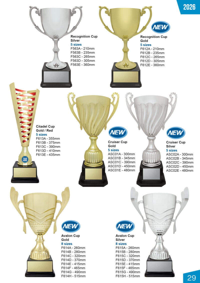 Recognition Cups